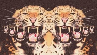 daniel di angelo - fake friends / argue | sped up