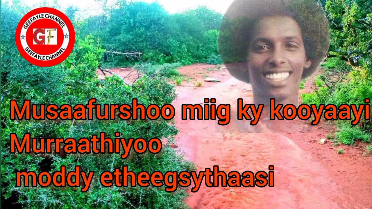 jiib + Qoraal by afyaal addow kob-dheere ( hupeeru)