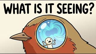 What Can This Bird See That You Can't?