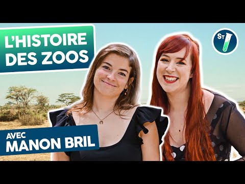 Vidéo: Zoo de Tallinn : description, histoire, animaux et avis touristiques