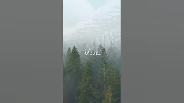 ي ا ي ح ي ى خ ذ ال ك ت اب ب ق و ة و آت ي ن اه ال ح ك م ص ب ي ا 