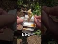 大根の葉　食べれる？