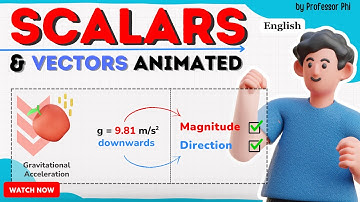 Scalars vs Vectors: the Animated Showdown