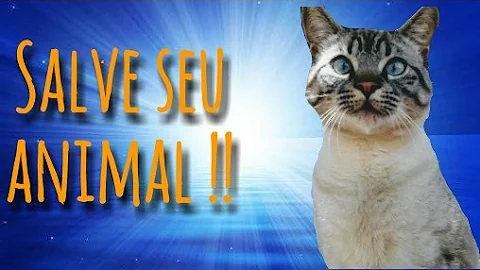Quanto tempo o veneno faz efeito no gato?