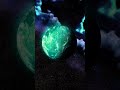 Upgrade your knowledge....Universe mystery 🌍🌌 #youtubeshorts #short