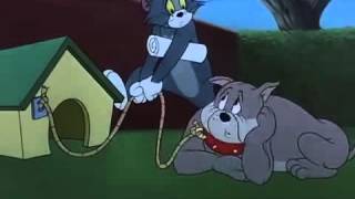 Tom & Jerry Best Scene EVER