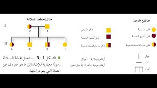 الانماط الأساسية لوراثة الإنسان الجزء الثاني