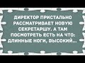 Новая секретарша с длинными ногами и высоким... Сборник Свежих Анекдотов! Юмор!