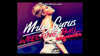 Miley Cyrus Wrecking Ball Raul Garces