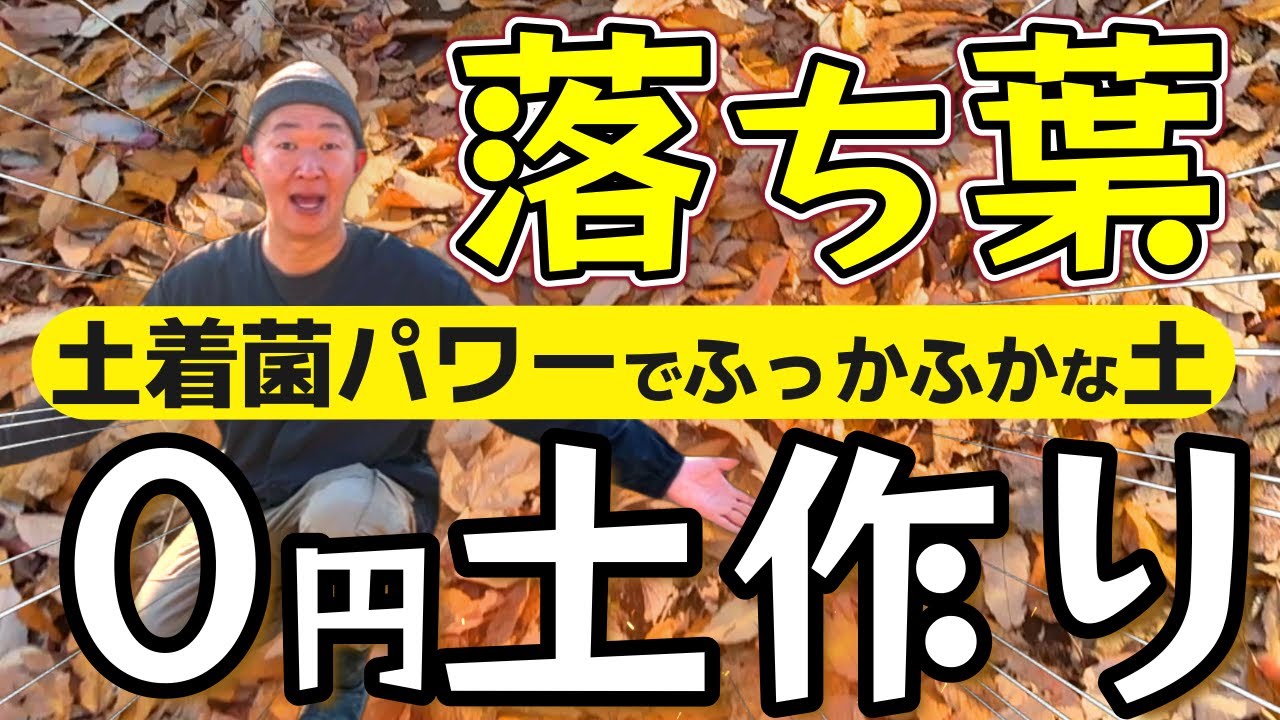落ち葉で腐葉土作れます!!簡単０円!!ふかふかな土へ♪