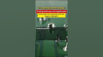 U S  earnings season outlook