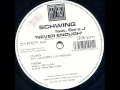 Schwing never enough 12 mix