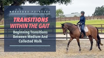 TRANSITIONS WITHIN THE GAIT: Beginning Transitions Between Medium And Collected Walk
