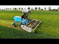 FORTSCHRITT E 301 Schwadmäher | Feldgras ▶ Agriculture Germanyy