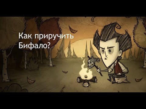 Всё о приручении Бифало!