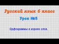 Русский язык 6 класс (Урок№5 - Орфограммы в корнях слов.)