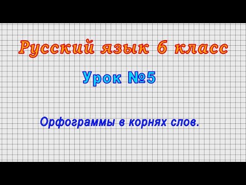 Русский язык 6 класс (Урок№5 - Орфограммы в корнях слов.)