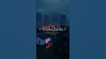 القرآن الكريم راحة نفسية استمع 🤍🥀 #القرآن_الكريم #اكسبلور #المصحف #استمع_و_أرح_قلبك
