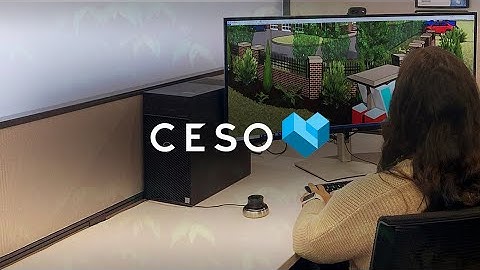 AMD and Dell Case Study; CESO Inc.