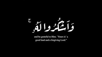 (لقد كان في لسبأ في مسكنهم)| سورة سبأ | محمد الغزالي #كرومات #krumat #شاشه_سوداء #quran