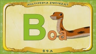Multipedia Zwierząt. Litera B - Boa