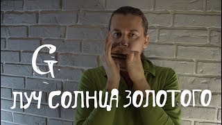 Луч солнца золотого (G harmonica) Луч солнца золотого (G harmonica)