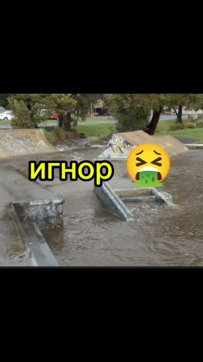 В каком скейт парке ты катаешься ? #шортс #самокат #scooter #scout # ...