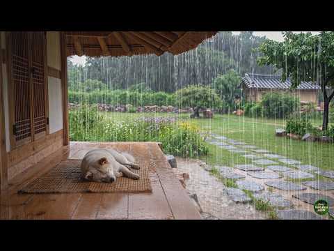 Finally, Refreshing Rain Sounds ASMR | White Noise for Sleep