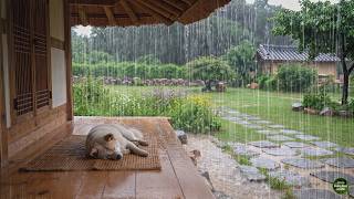 Finally, Refreshing Rain Sounds ASMR | White Noise for Sleep