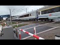 Trajno kaj barilbrakoj