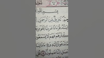 سورة فصلت تلاوة جميلة جدا القرآن الكريم🌹🥺 #تلاوات #القرآن_الكريم #تلاوةمميزة #القرآن_الكريم #اكسبلور