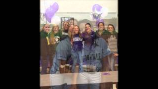 srv Birdville High School softball 2014-2015