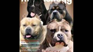 ATOMIC DOGG Magazine Flowmercial