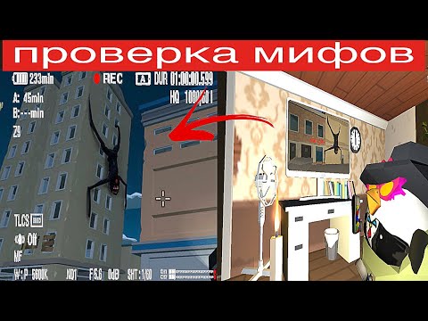 Видео: 😨 Палочник в Чикен Ган! Проверка мифов в Чикен Ган! || Димон ChickenGun