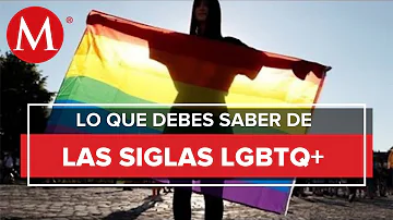 ¿Qué significa la K de Lgbtqiapk?