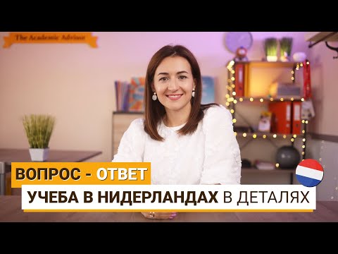 Обучение в Нидерландах. Разбор нюансов и важных деталей