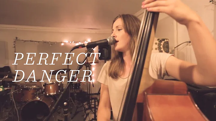 Ellen Andrea Wang - Perfect Danger