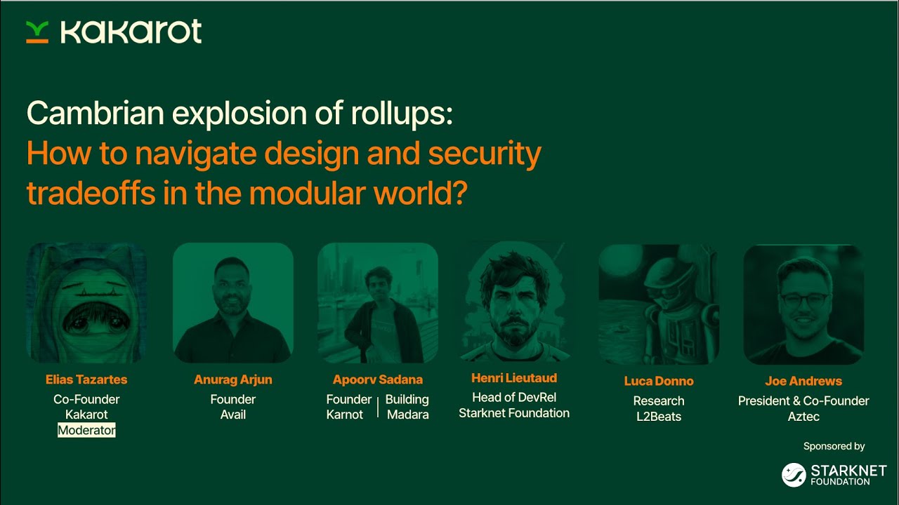 Panel 1 at Rollcon[1] - Cambrian explosion of rollups