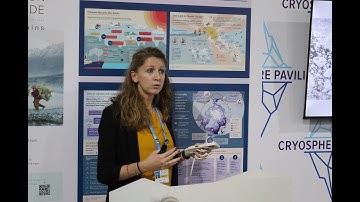 Antarctic Sea Ice at a Crossroads: Status Quo and Future Implications