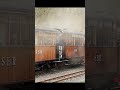 "Howard No2" & 11 "Fiji" race down the back straight @ the SBR, 7/3/26 #steam #narrowgauge #railway