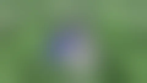 Why , when and how to flush￼ Cannabis plants at harvest .￼+ trick How to never flush again.