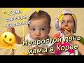 Непростой день мамы в Корее/дома завелись насекомые/встречаем гостей/Korea Vlog