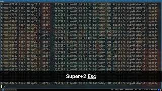 Nvim DAP Debugger Configuration - Ruby
