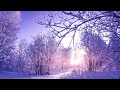 Winter Snow Scene Relaxing Piano Music - Best Sleep Music - Meditation Study Spa Yoga Music #12