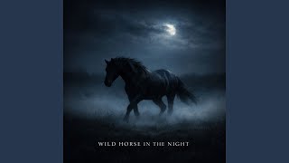 Wild Horse in the Night (Remix) - syamsuddin adam