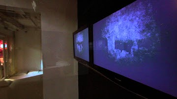 Solo Exhibition by Kingsley Ng - Osage Soho Gallery, Hong Kong