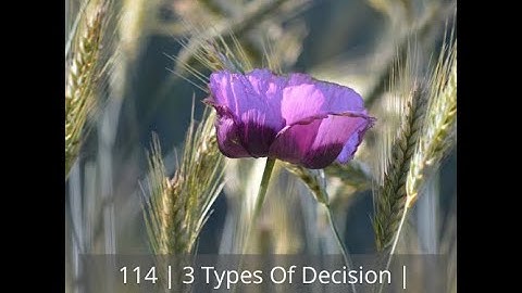 114 | 3 Types Of Decision | Evolution Of Self
