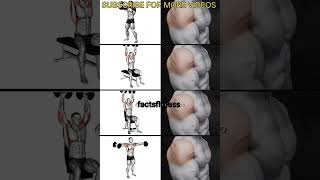 “Shoulder Pump Madness” | #gym #shoulder #shorts