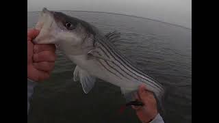 South Jersey Spring Stripers March 2022