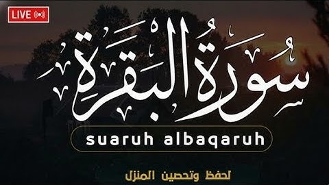 سورة البقرة بروايات متعددة | تلاوة خاشعة بصوت أئمة الجامع الأزهر الشريف
